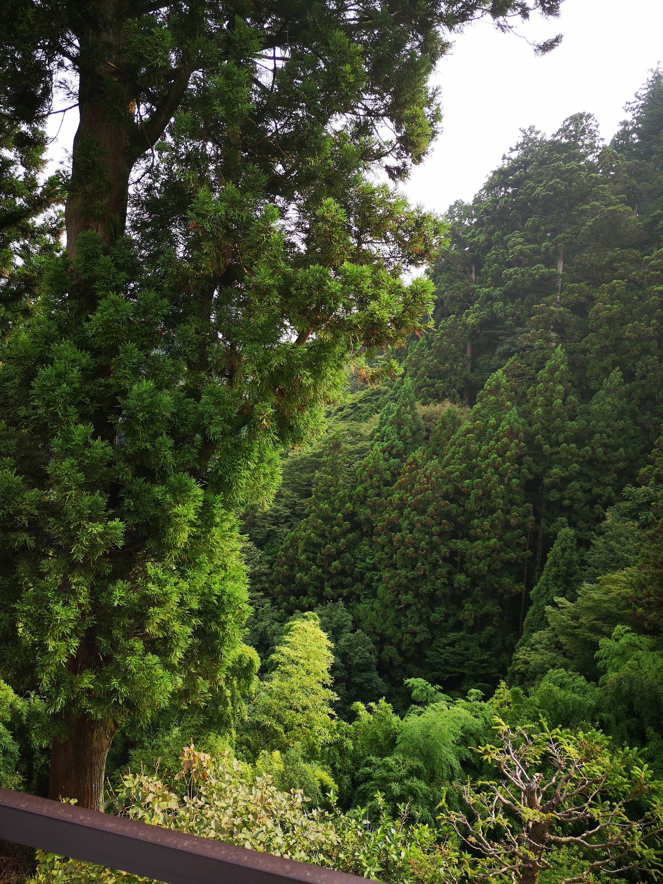 駒鳥山荘からの眺望